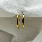 Oorbellen basic goudkleurige hoops 2.5 cm