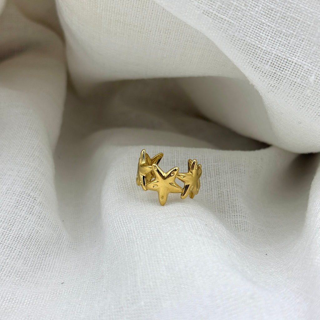 Ring Sea star