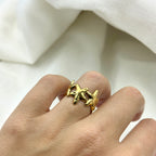 Ring Sea star